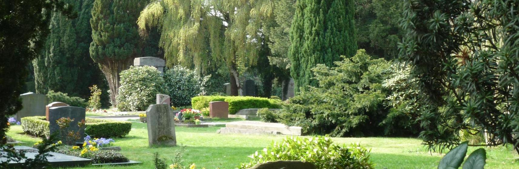 Header Gertrudenkirchhof Oldenburg Gräber Bäume mit gürn im Vordergrund