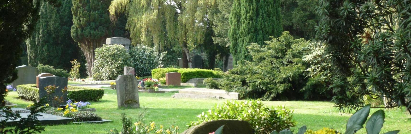Header Gertrudenkirchhof Oldenburg Gräber Bäume mit gürn im Vordergrund