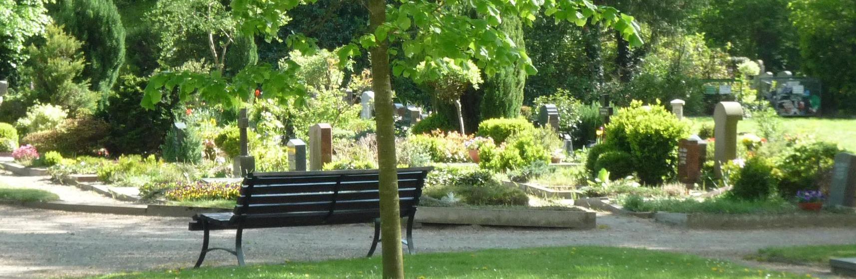 Header Neuer Friedhof Oldenburg Bank Baum Gräber