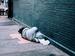 Obdachlos