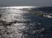 Meer