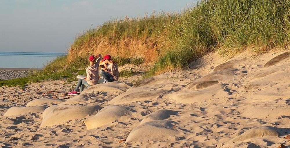 KoKo-Sommerfahrt 2024 Helgoland Am Strand
