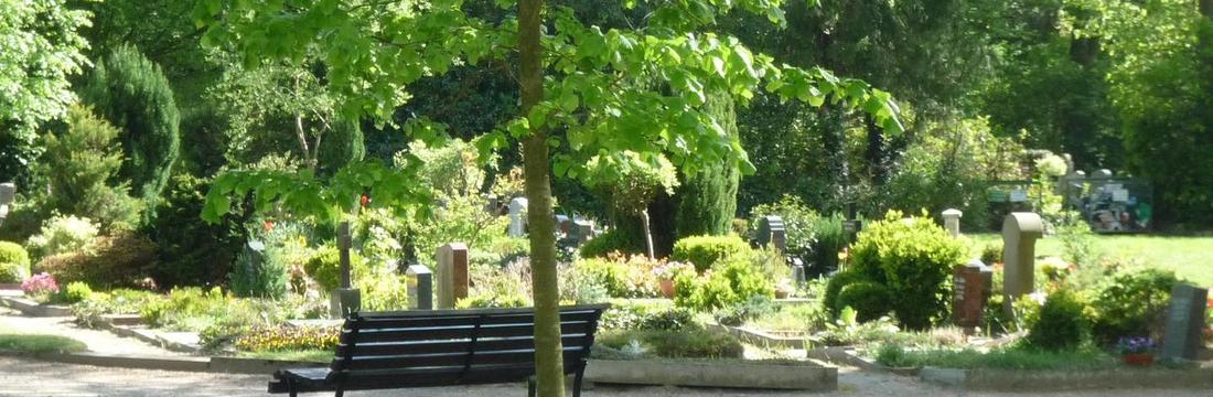 Neuer Friedhof Oldenburg Bank Baum Gräber