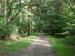 Waldweg