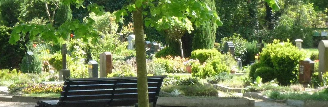 Header Beerdigung Neuer Friedhof Bank Baum Gräber 