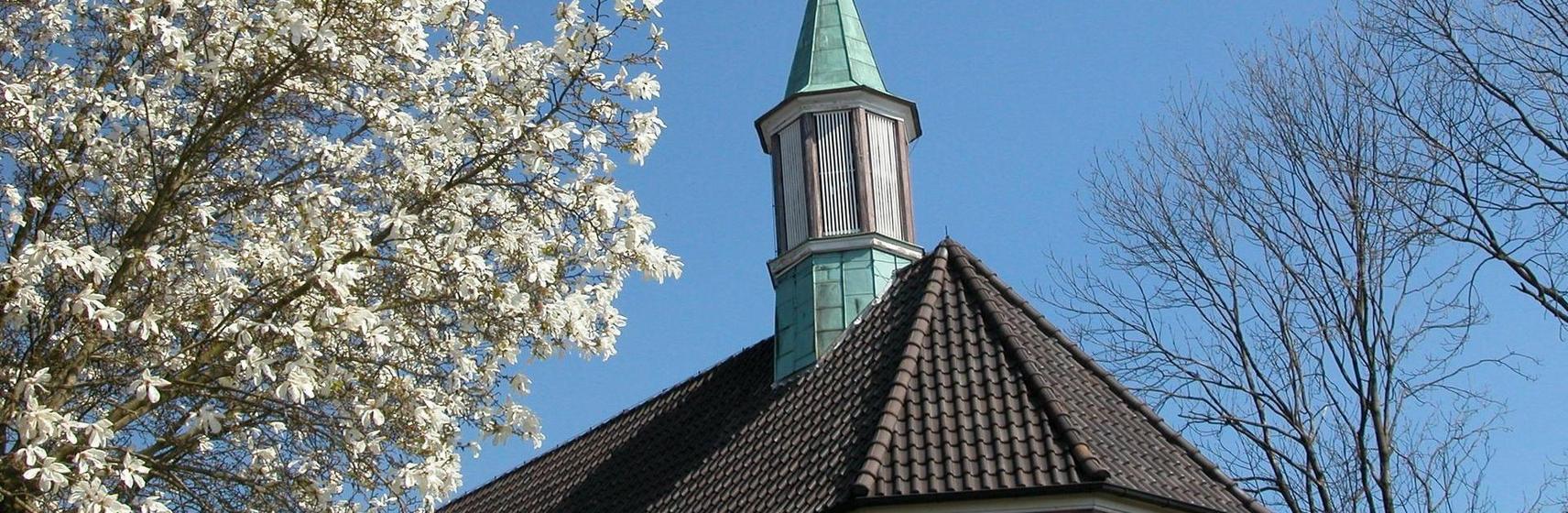 header Christuskirche Oldenburg Turm mit blühender Magnolie