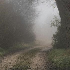 Weg im Nebel