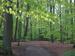 Eversten Holz Oldenburg