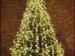 Christbaum Ofenerdiek