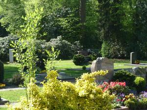 Neuer Friedhof Oldenburg Gräber