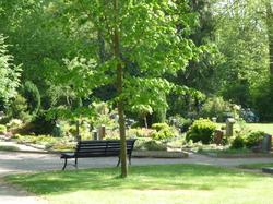 Neuer Friedhof Oldenburg Bank Baum Gräber