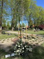 Neuer Friedhof Oldenburg - Ginko mit Namensplatte